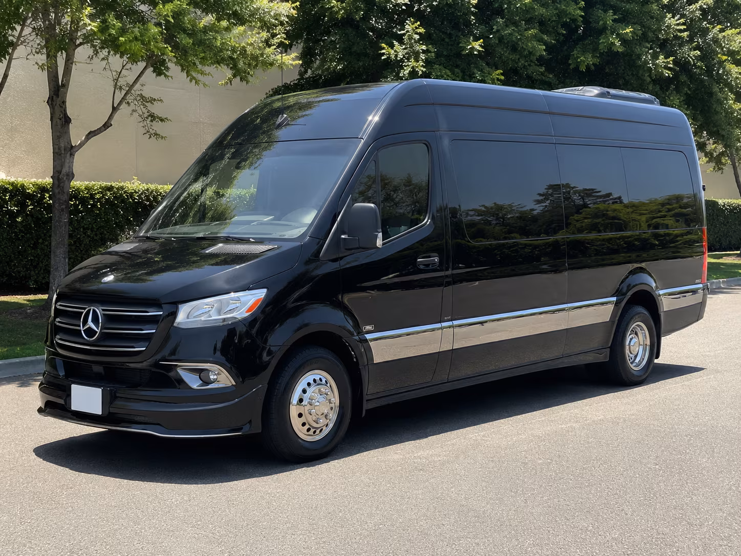 santa ana 8 passenger sprinter van